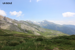 FotosVoluntarios-0115