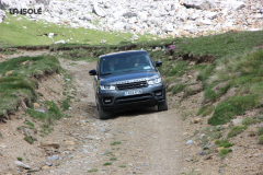 FotosVoluntarios-0239