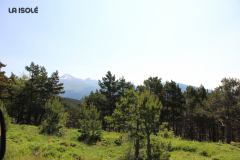 FotosVoluntarios-0295