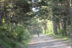 FotosVoluntarios-0298