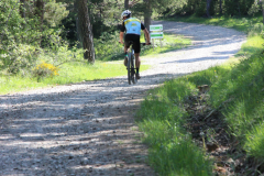 FotosVoluntarios-0321