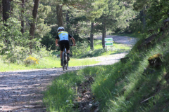 FotosVoluntarios-0323