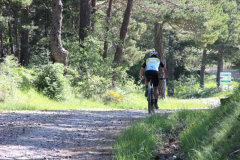 FotosVoluntarios-0324