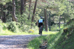 FotosVoluntarios-0325