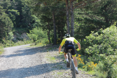 FotosVoluntarios-0328