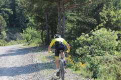 FotosVoluntarios-0329