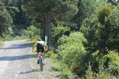 FotosVoluntarios-0334