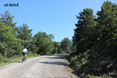 FotosVoluntarios-0338