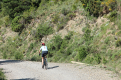 FotosVoluntarios-0344