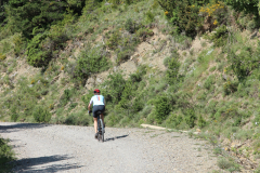 FotosVoluntarios-0345