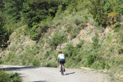 FotosVoluntarios-0346