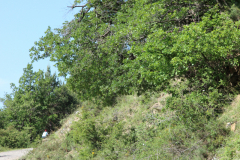 FotosVoluntarios-0347