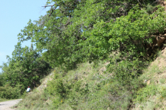 FotosVoluntarios-0348