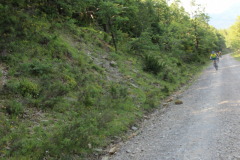 FotosVoluntarios-0349