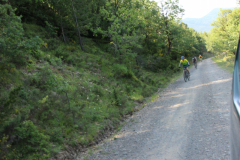 FotosVoluntarios-0353