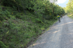 FotosVoluntarios-0354