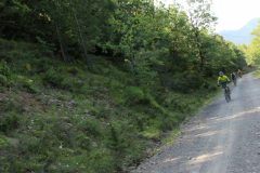 FotosVoluntarios-0356