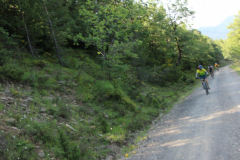 FotosVoluntarios-0358