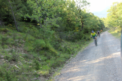 FotosVoluntarios-0359