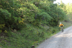 FotosVoluntarios-0360