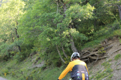 FotosVoluntarios-0363