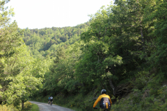 FotosVoluntarios-0365