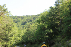 FotosVoluntarios-0366