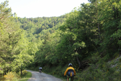 FotosVoluntarios-0367