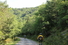 FotosVoluntarios-0368