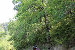 FotosVoluntarios-0373