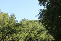 FotosVoluntarios-0374