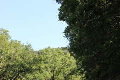 FotosVoluntarios-0375