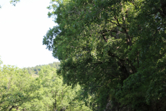 FotosVoluntarios-0376