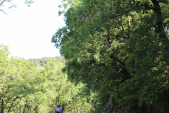 FotosVoluntarios-0377