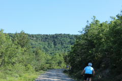 FotosVoluntarios-0378