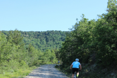 FotosVoluntarios-0379