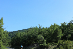 FotosVoluntarios-0380