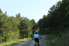 FotosVoluntarios-0381