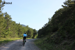 FotosVoluntarios-0382