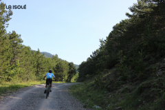 FotosVoluntarios-0384