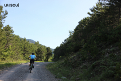 FotosVoluntarios-0385