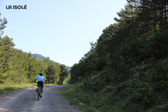 FotosVoluntarios-0386