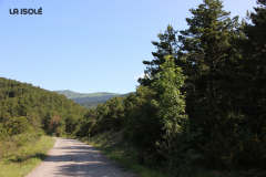 FotosVoluntarios-0387