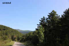 FotosVoluntarios-0388