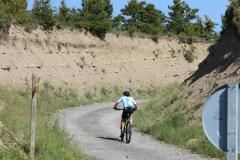 FotosVoluntarios-0389